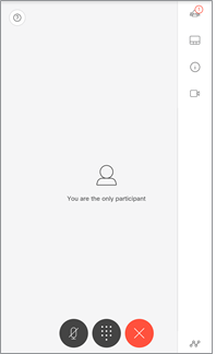 Screen capture showing the meeting status after joining and who are the participants and options available.