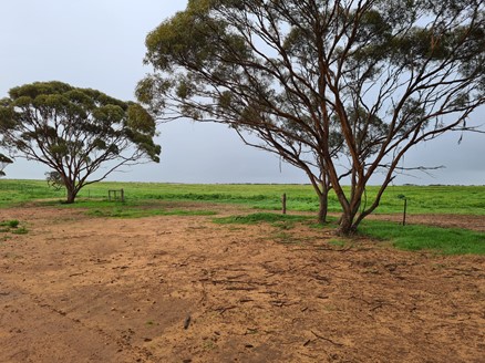 Land and trees near the site.