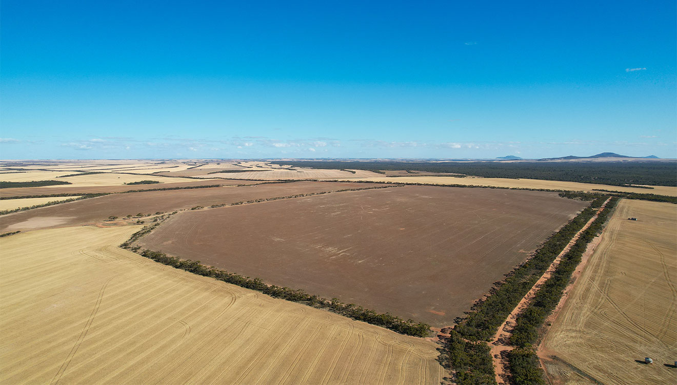 Decision on the National Radioactive Waste Management Facility (NRWMF