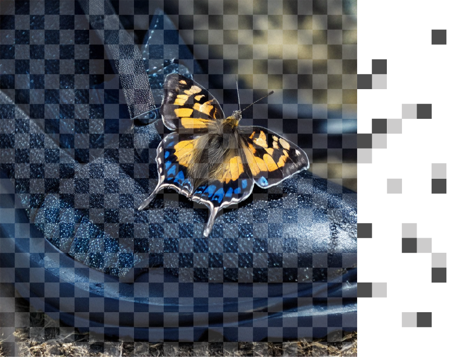 An AI-generated image of a butterfly on a shoe, with an overlay representing invisible watermarking.