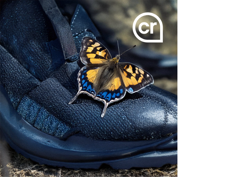 An AI-generated image of a butterfly on a shoe, with a visible watermark.