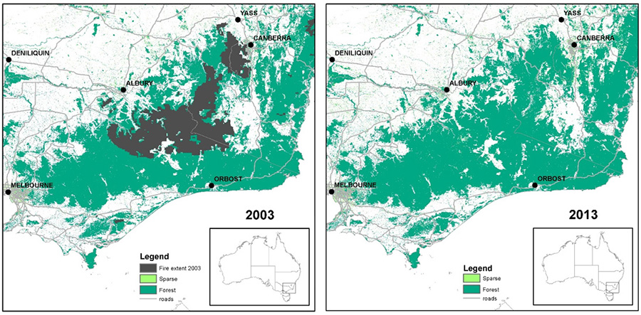 Figure 6 shows two maps of South-Eastern Australia covering the land impacted by the 2003 bushfires. The first map shows the extent of the fires overlaying the forest cover observations in 2003. The second shows the forest cover observations in 2013, ten years after these fires. More than 98 per cent of the impacted areas shows forest cover after ten years of regrowth opportunity.