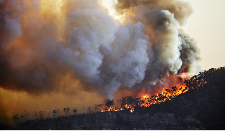 Image credit: Getty. Photo of forest during a bushfire at Narrow Neck.