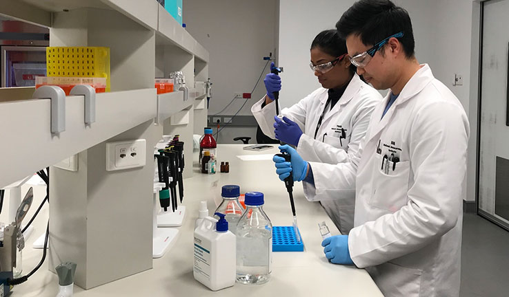 Photo of two people in a laboratory