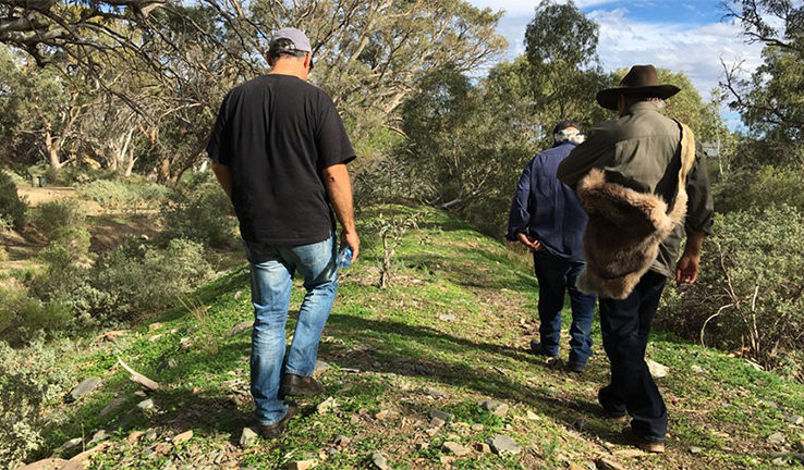 Three men walk through the brush during cultural awareness training at Spear Creek Three men walk through the brush during cultural awareness training at Spear Creek
