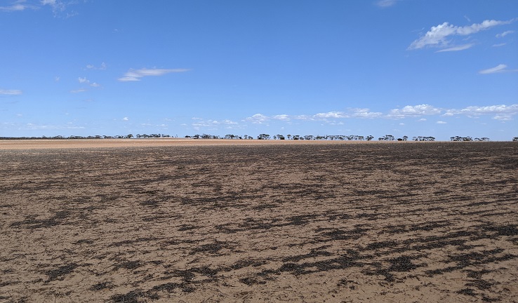 Photo of the Napandee site Photo of the Napandee site