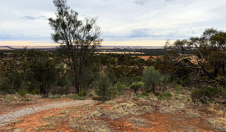 The town of Kimba viewed from the top of a hill at morning. The town of Kimba viewed from the top of a hill at morning.