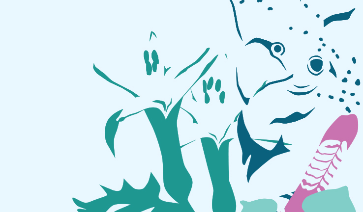 : Indigenous artwork shows a Yuyang (glossy black cockatoo) in dark green with wildflowers in green, a pink feather and an aqua background.