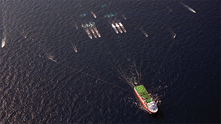 Veratis Viking seismic exploration vessel. Image credit: Woodside Energy Ltd Offshore Petroleum Exploration, Veratis Viking seismic exploration vessel.