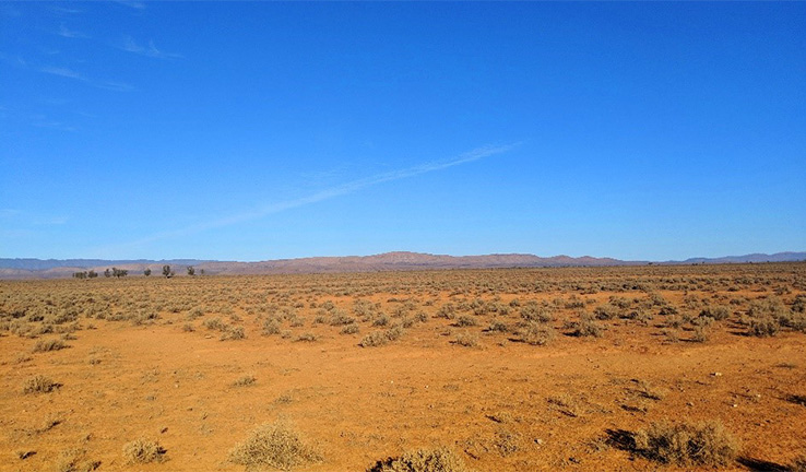 Dirt road and shrubs at nominated Wallerberdina site 5 A semi-arid landscape with the Flinders Ranges on the horizon.