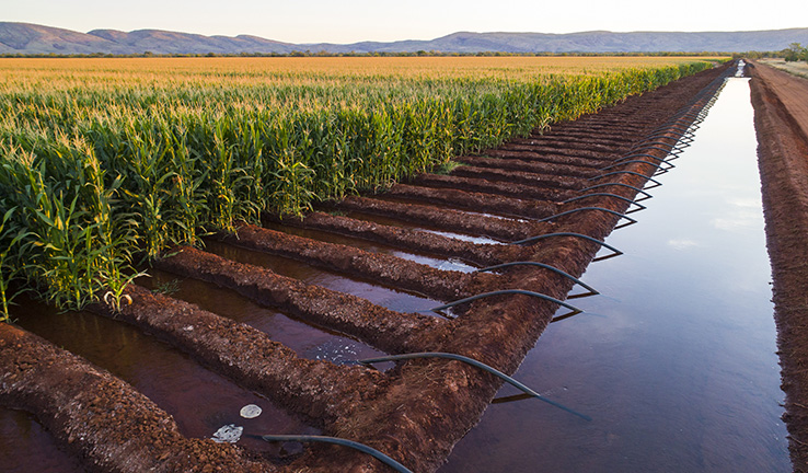 Photo of an irrigation system in a crop field. Photo of an irrigation system in a crop field.