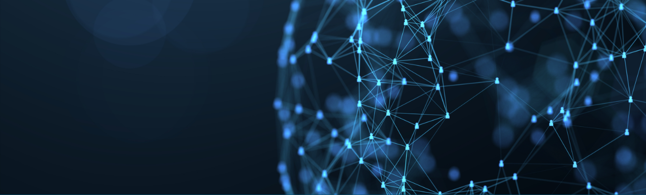 Global network connection concept