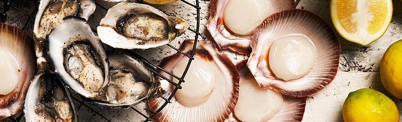 Photo of mussels and scallops ready for eating