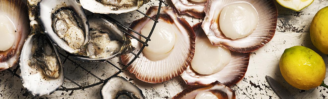 Photo of mussels and scallops ready for eating