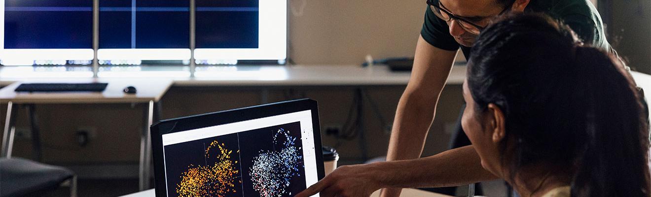 Photo shows a person pointing at a laptop screen showing complex diagrams. His colleague is watching hm explain the model.