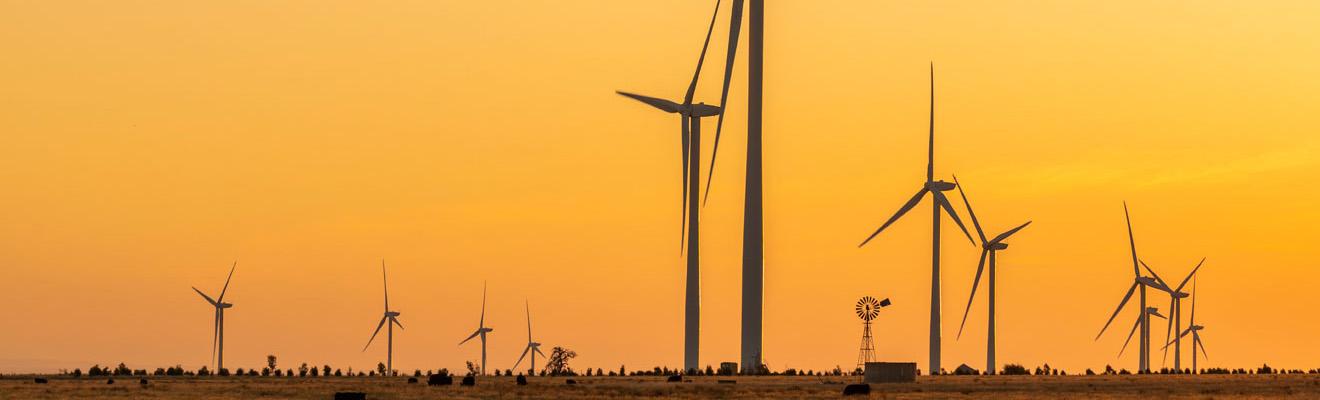 Wind turbines in the outback at sunset