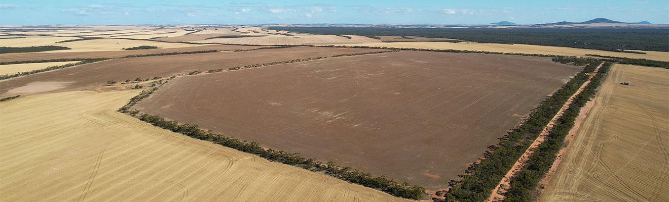 Napandee site 