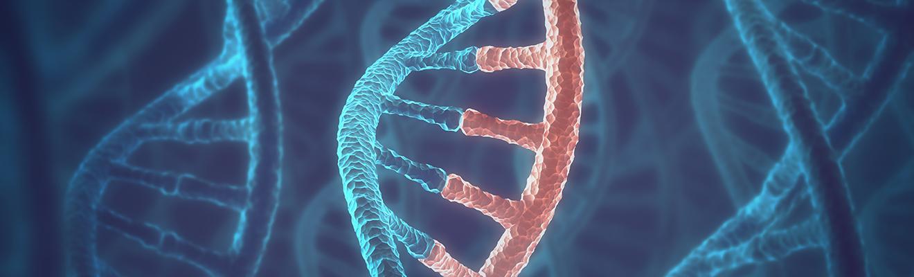 A close-up of a strand of DNA.