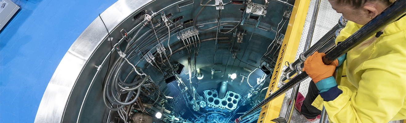 Image of the OPAL multi-purpose reactor