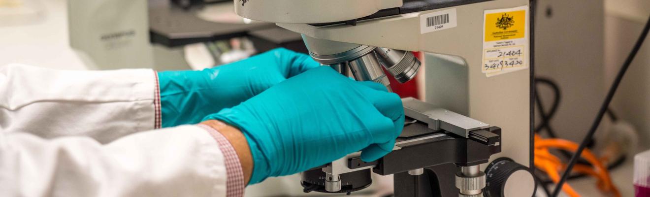 Gloved hands adjusting a sample on a laboratory microscope during scientific testing.