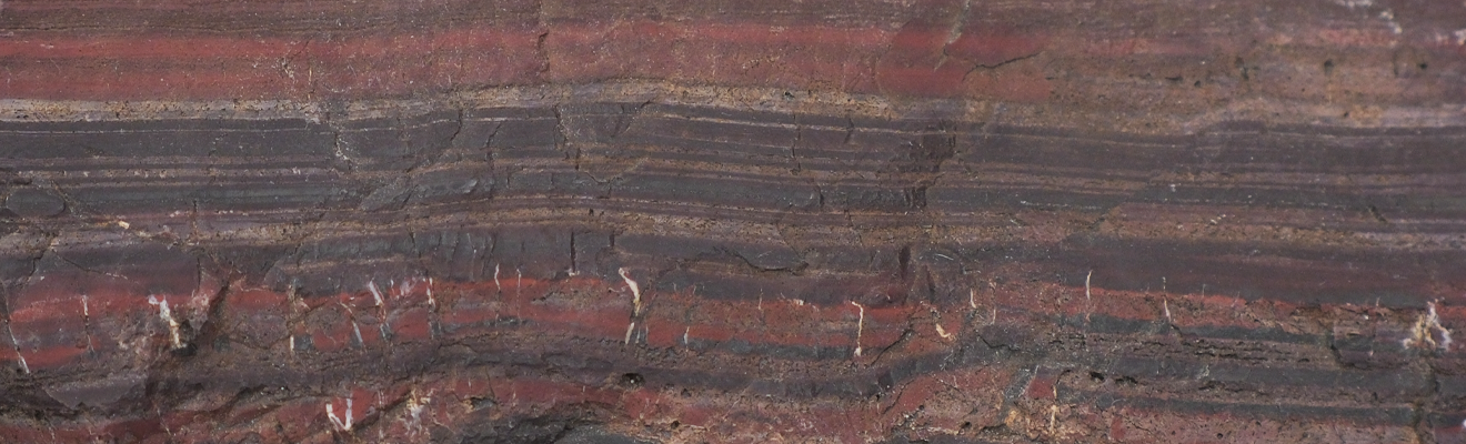 Cross section of soil showing layers of minerals.