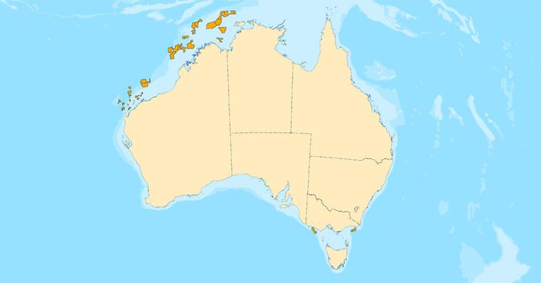 This map of Australia shows the 2020 acreage release areas offshore of the Northern Territory, Western Australia, Victoria and the Ashmore and Cartier Islands. The map shows the shapes of the new acreage blocks in orange.