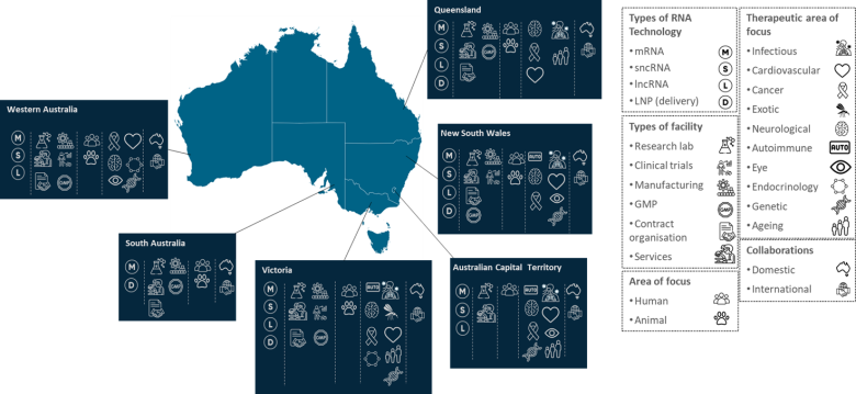 Every Australian state and territory (except Northern Territory and Tasmania) has significant capabilities supporting RNA technologies.