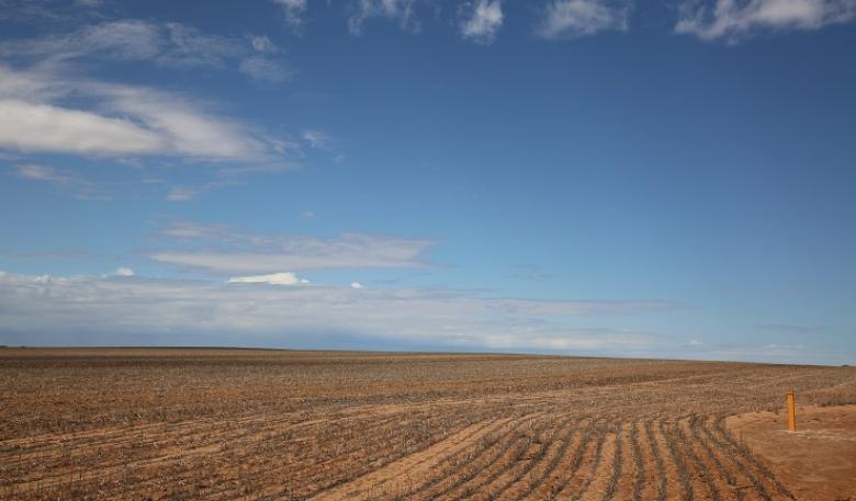 An empty paddock under a blue sky