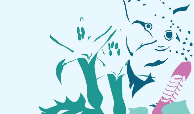 : Indigenous artwork shows a Yuyang (glossy black cockatoo) in dark green with wildflowers in green, a pink feather and an aqua background.