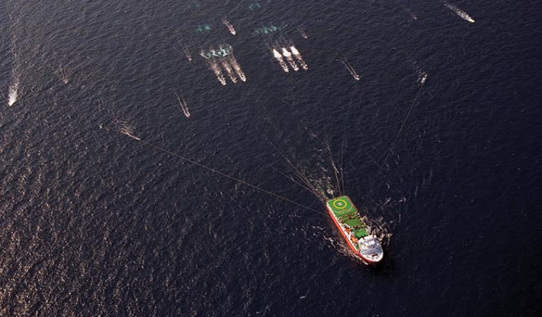 Oil and gas exploration vessel Veratis Viking in Australian waters