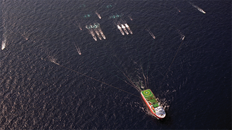 Offshore Petroleum Exploration, Veratis Viking seismic exploration vessel.