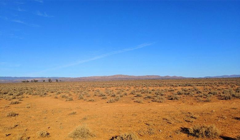 Dirt road and shrubs at nominated Wallerberdina site 5 A semi-arid landscape with the Flinders Ranges on the horizon.