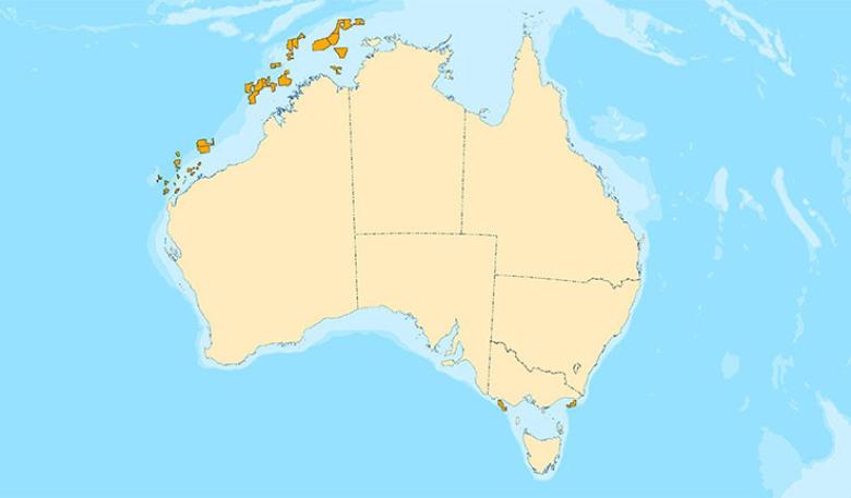 Map of Australia showing highlighted basins for the Offshore Petroleum Exploration Acreage Release 2020.