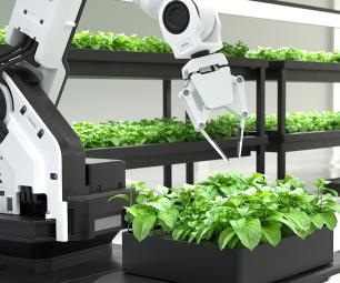 Robotic technology used in plant production for food