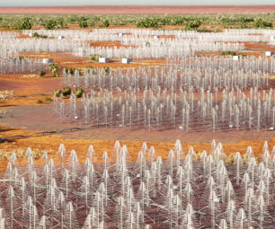 Groups of antennas on red dirt