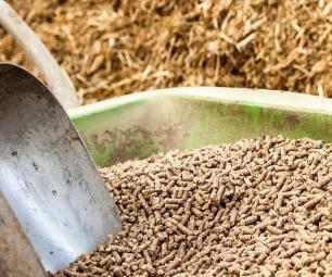 Metal scoop in livestock feed. 
