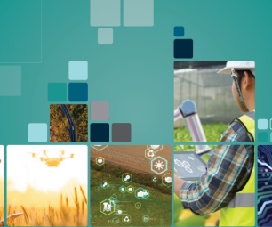 Decorative graphic with image icons of farmers using AI to manage crops.