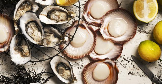Photo of mussels and scallops ready for eating