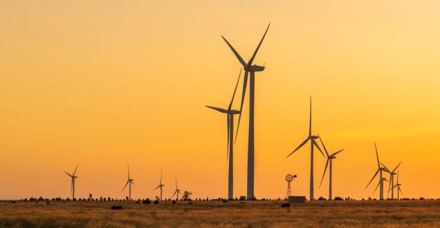 Wind turbines in the outback at sunset