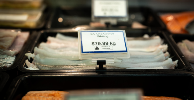 Australian fish for sale at fish market 