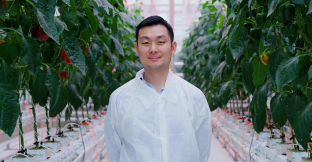Alexander Soeriyadi, CEO and co-founder of Lleaf standing in one of the company’s greenhouses
