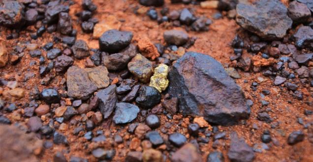 A large gold nugget found among may stones in the Western Australia outback