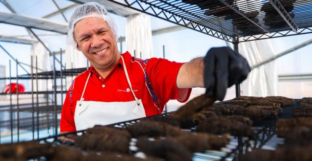 Professor Michael Wear received the 2025 Prime Minister’s Prize for Aboriginal and Torres Strait Islander Knowledge Systems. 