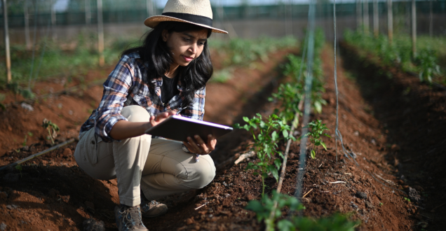 Closeup photo of a farm worker using digital tablet in greenhouse.