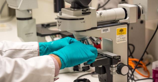 Gloved hands adjusting a sample on a laboratory microscope during scientific testing.