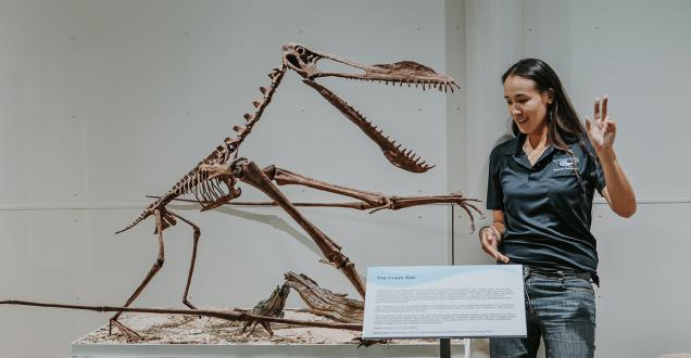 Woman palaeontologist explaining a dinosaur skeleton in an exhibition