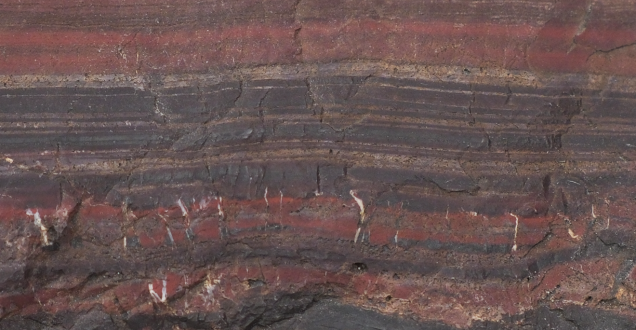 Cross section of soil showing layers of minerals.