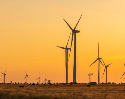 Wind turbines in the outback at sunset