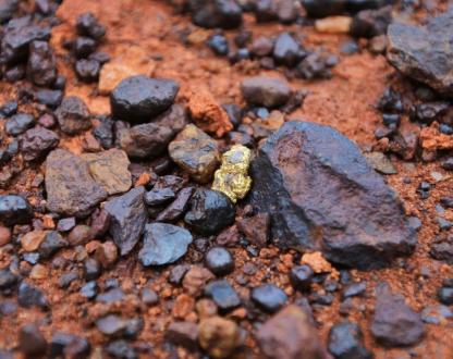 A large gold nugget found among may stones in the Western Australia outback