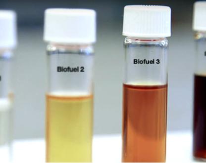 Test tubes of biofuel numbered 1 to 4